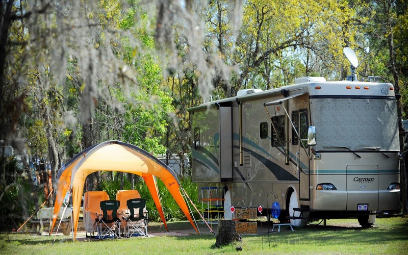 A Comprehensive Guide to RV Camping with Pets