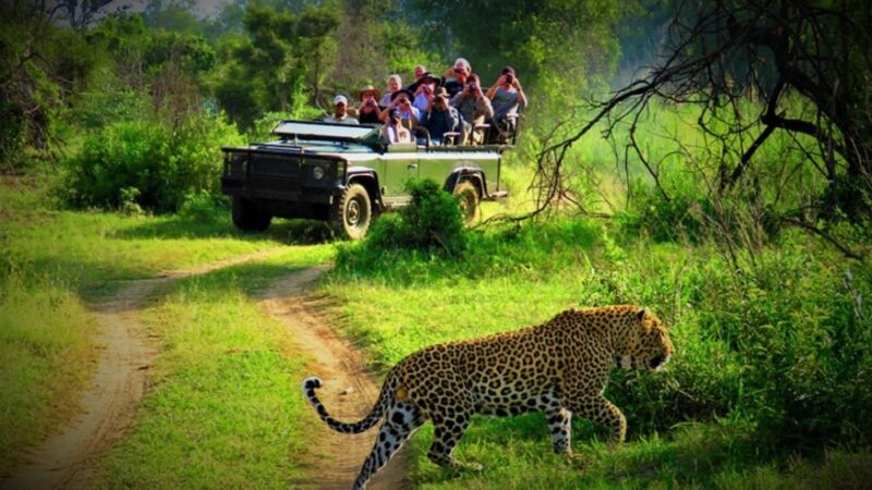 Jungle Safari Tour.